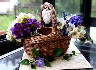 Картинка цветы разные вместе сердечко корзина барвинок фрезия гиацинты