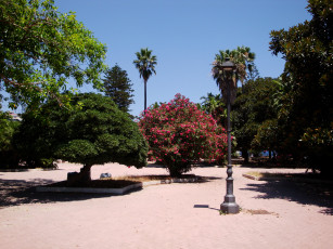 Картинка италия сицилия мессина природа парк растения