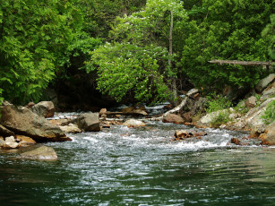 Картинка канада онтарио природа реки озера река лес