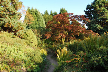 Картинка англия джедлинг дистрикт парк природа