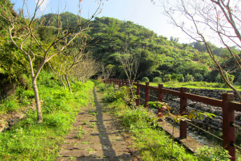 Картинка природа дороги холмы трава деревья изгородь дорожка