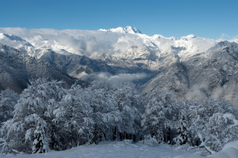 Картинка природа зима горы деревья снег