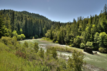 Картинка природа реки озера лес река