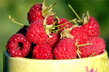 Картинка еда малина ягоды дары лета