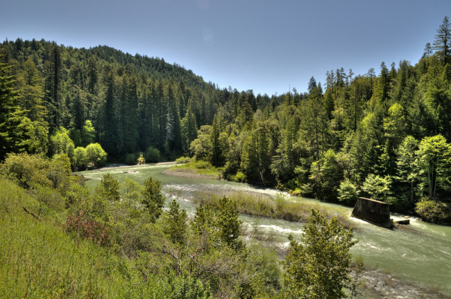 Обои картинки фото природа, реки, озера, лес, река