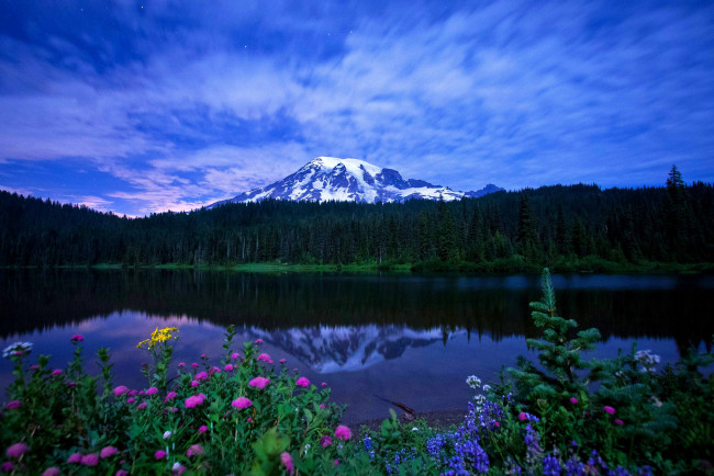 Обои картинки фото mount, rainier, national, park, природа, реки, озера, озеро, гора, лес, отражение, цветы, пейзаж