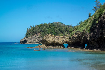 Картинка природа побережье море пейзаж деревья скалы