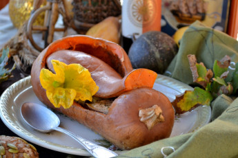 Картинка еда тыква цветок