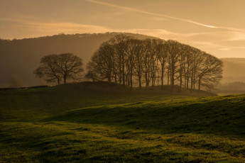Картинка природа поля осень деревья поле