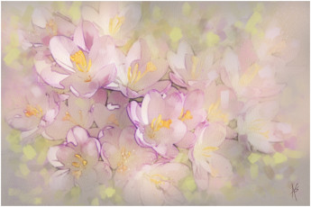 Картинка рисованные цветы