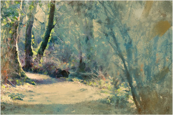 Картинка рисованные -+другое деревья дорога