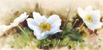 Картинка рисованные цветы