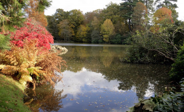 Картинка природа реки озера осень деревья озеро