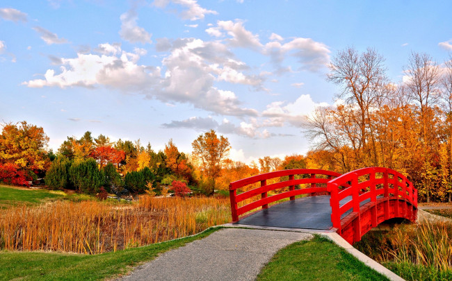 Обои картинки фото природа, парк, листья, деревья, осень