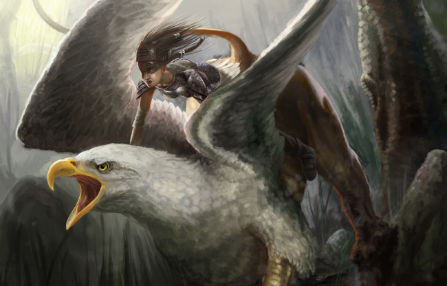 Обои картинки фото фэнтези, красавицы и чудовища, девушка, всадник, грифон, клюв, крылья