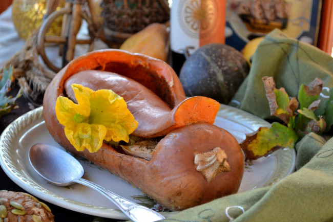 Обои картинки фото еда, тыква, цветок