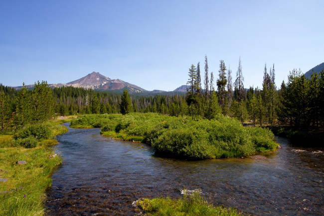 Обои картинки фото природа, реки, озера, ели, лес, озеро, калифорния