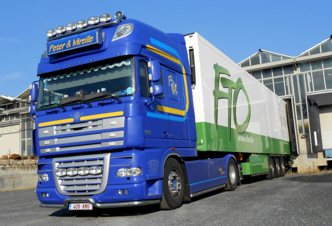 Обои картинки фото daf, автомобили, daf , выставка, улица, автобусы, тягачи, седельные, trucks, nv, нидерланды, шасси