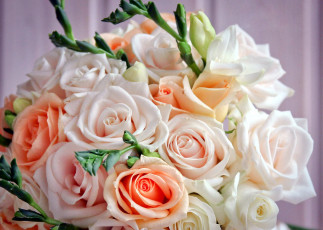 Картинка цветы букеты +композиции фрезии розы