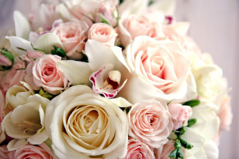 Картинка цветы букеты +композиции орхидеи фрезии розы