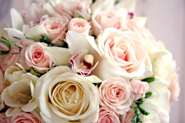 Обои картинки фото цветы, букеты,  композиции, орхидеи, фрезии, розы