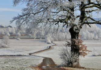 Картинка природа зима снег