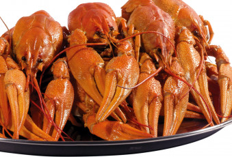 Картинка еда рыбные+блюда +с+морепродуктами раки