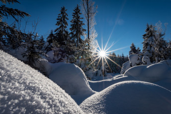 Картинка природа зима снег