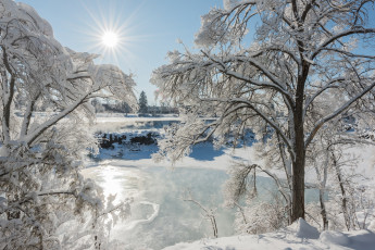 Картинка природа зима снег