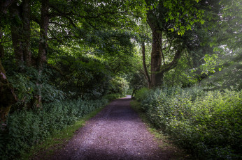 Картинка природа дороги тракт