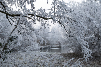 Картинка природа зима снег