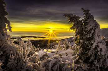 Картинка природа зима снег