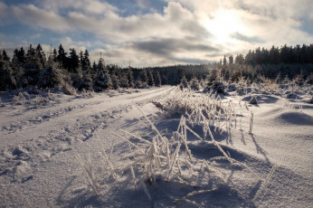 Картинка природа зима снег