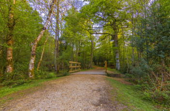 Картинка природа дороги тракт