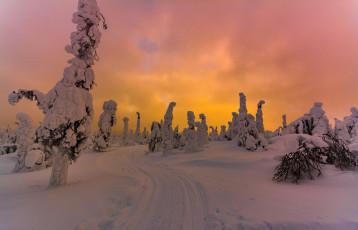 Картинка природа зима снег