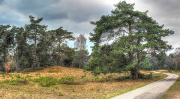 Картинка природа дороги тракт