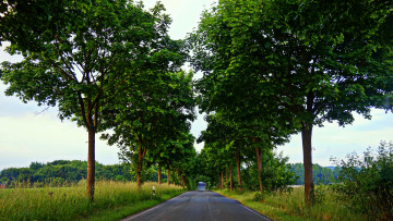 Картинка природа дороги тракт