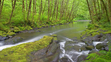 Картинка природа реки озера камни поток