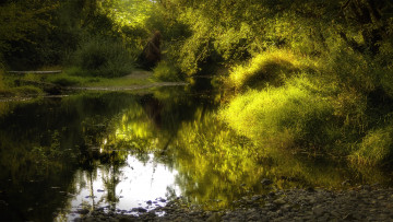 Картинка природа реки озера лес река