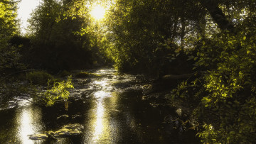 Картинка природа реки озера лес река