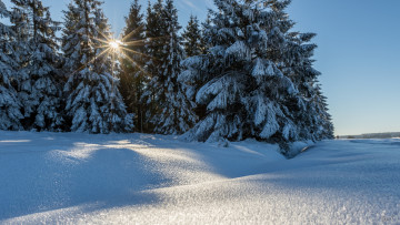 Картинка природа зима снег