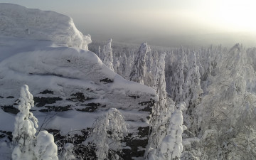 Картинка природа зима снег деревья