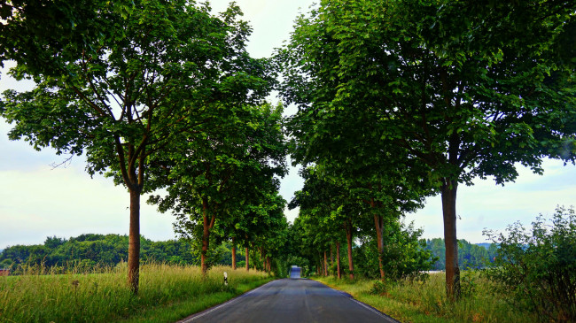 Обои картинки фото природа, дороги, тракт