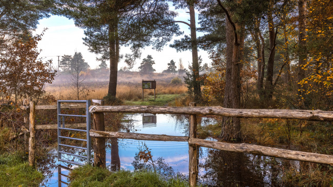 Обои картинки фото природа, реки, озера, лес, река