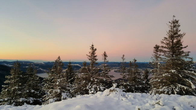 Обои картинки фото природа, зима, снег