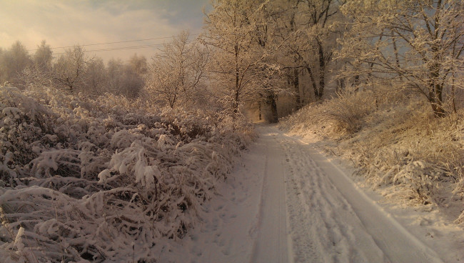 Обои картинки фото природа, дороги, тракт