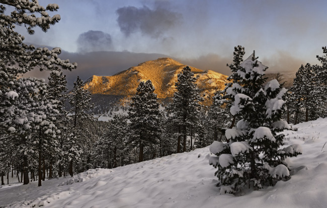Обои картинки фото природа, зима, снег