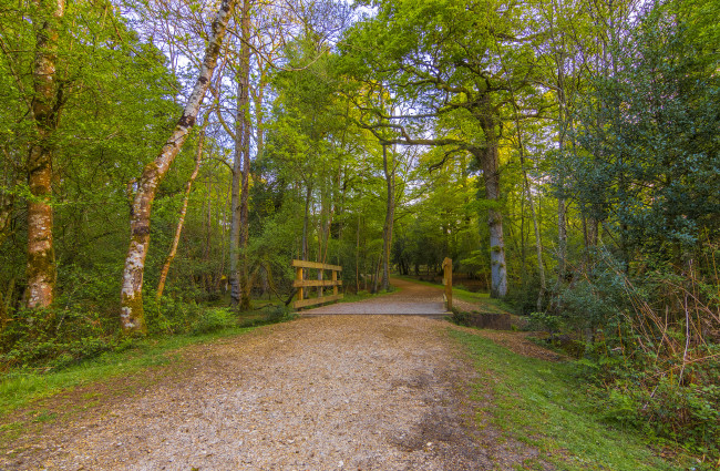 Обои картинки фото природа, дороги, тракт