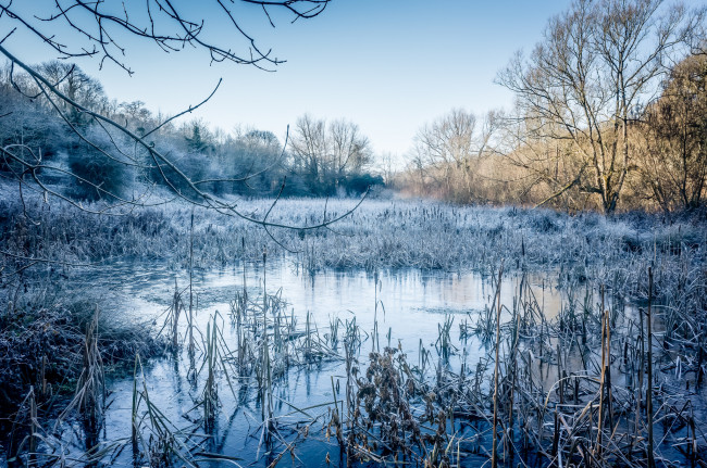 Обои картинки фото природа, реки, озера, река, лес