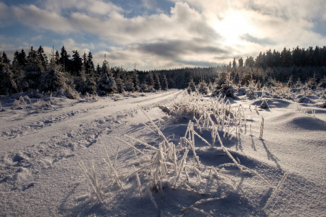 Обои картинки фото природа, зима, снег